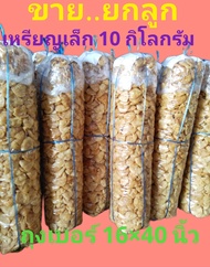 กระเพาะปลาแห้ง เหรียญเล็ก ยกลูก 10 กิโลกรัม เนื้อนุ่มฟู