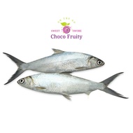 Fresh Bangus Fish  - 1kg