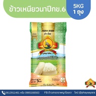 (New Rice From 69) Glutinous July 6 Size 5KG Specially Selected
