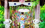 Fukuoka Half-Day Stroll | Dazaifu Tenmangu Shrine・Frog Shrine・Optional Kimono Experience | Depart fr