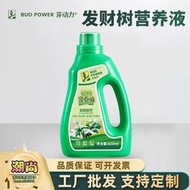 【樂樂屋】發財樹營養液發財樹專用營養液發財樹營養液專用水培養花植物花肥