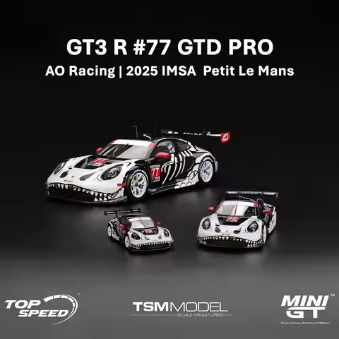 *Preorder* Topspeed TSM MINI GT GT3 R #77 AO Racing 2025 IMSA Petit Le Mans Resin *PreSale*