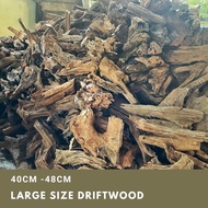 Driftwood (XL) for aquarium or airplant / plantation (Kayu utk akuarium / pokok) WOOD FOR ALL SIZES TANK
