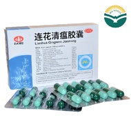 Yiling Lianhua Qingwen Jiaonang 以岭连花清瘟胶囊 (0.35g x 24 capsules) Lian Hua Qing Wen Jiao Nang