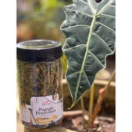 Afifah Pegaga Premium Rangup (Crispy Cantella Chips)