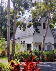 บ้านเดี่ยว 1 ห้องนอน 1 ห้องน้ำส่วนตัว ขนาด 37 ตร.ม. – พิบูลมังสาหาร (Pimbunya House - V1 English Cot