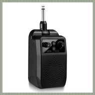 (QJWR) Mini Electric Guitar Amp Portable Bluetooth Practice Amp with 4 Effects (-05G)