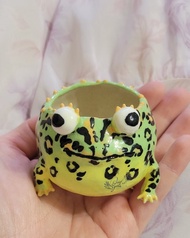 Holy Spirit手作 綠色角蛙小陶盆 手捏陶器 多肉小盆器 手作盆器