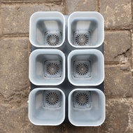 8 cm SQUARE POT TRAY 8 cm SQUARE POT/ (WITH 8 6 PCS POT)