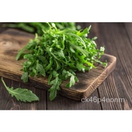 150 Organic Arugula Slow Bolt Rocket Seeds, Vegetable Seeds, Herb Seeds/children's wear/shorts/Under