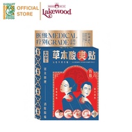 HJT 宏珏堂医用药贴王 Pain Relief Patch｜麻痹止痛 祛风祛寒 疏通经络 消炎消肿 Fast Acting Herbal Pain Relief & Anti-Inflammatio
