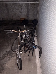 Giant 單車