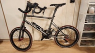 Java Skeggia 451 碳纖單車
