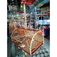 Ready stock ‼️ Jebak burung/Jebak lekir/jebat/jebak murai batu/birdtrap/Jebak merbah jambul/JEBOK