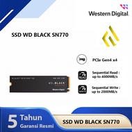 SSD WD Black SN770 250GB - SSD M.2 NVMe PCIe