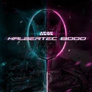 Li Ning HALBERTEC 9000 Badminton Racket Control Type Full Carbon Fiber Professional High-end Racket