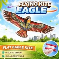 Flat Eagle Kite With Kite Line Flying Bird Kite Windsock FLYING KITE EAGLE