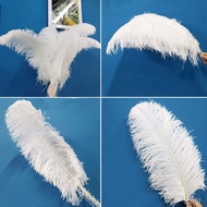 Wedding Stage Costume Feather Table Flower Ostrich Feather Thick Rod Feather Ostrich Manufacturer DI