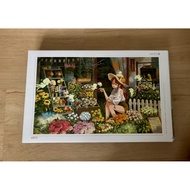 Pintoo puzzle 1000pcs (new puzzle, box opened)