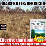 500g Hexazinone Pro Tree Killer  Penghapusan Akar Cepat untuk Pokok / Bambu / Racun Rumput Tabur