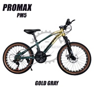 PM5 (PORMAX) MINI MOUNTAIN BIKE SIZE 20