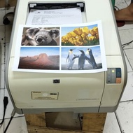 printer Hp Laserjet Cp1215 printer warna a4-Legal