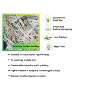 Golden Oat Hay Australia 500g (rabbit, guinea pig)