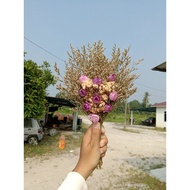 Bunga Tangan Kering/Bunga Tangan Murah/Hanbouquet/Wedding Bouquet/Bunga Tangan Pengantin/Barang Kahw