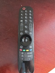LG 電視遙控器