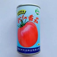 【大目】西紅柿種子 種籽合作908番茄粉紅果無限生長高圓肉厚高產抗病番茄種子 種籽hxmm
