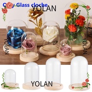 YOLANDAGOODS1 Glass cloche Terrarium Tabletop Fairy Lights Glass Vase Terrarium Jar Flower Storage box