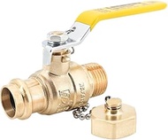 Legend Valve 101-438NL 1" P-1002CCNL PRESSxMGHT BV Model P-1002CCNL