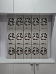 全新現貨 實體店 bearbrick be@rbrick flora flor flor@ glow in the dark 400 400% 400％ 夜光 永生花