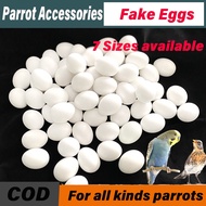 5Pcs Fake Parrot Egg Simulation Artificial Bird Eggs for encouraging parrot birds laying eggs