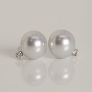 18K金Madama Akoya珍珠耳環18K Gold Madama Akoya Pearl Earring