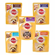 MINIPETS 80GR PEDIGREE POUCH Pedigree dog food, DOG SNACK