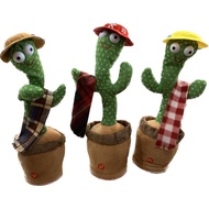 Cactus Toy Recording