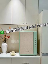 冷暖兩用Cooling and heating小雪櫃 現貨Spot 100%全新 車載便攜 小型迷你 家用雪櫃 美妝面膜儲存