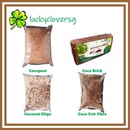 [4L, 8L] Cocopeat / Cocochip / Coco Coir Fibre / Coconut Chip / Chips / Brick Planting / Gardening /