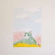 明信片 看得見貓咪的春天 新年賀卡