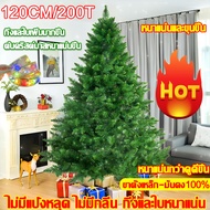 🔥ด้วยฉัน ช่วยคุณดึงดูดลูกค้าได้มากขึ้น🌲ต้นคริสมาสต์ ต้นคริสต์มาส ต้นคริสมาส ใหญ่ 2.1M ขนาดใหญ่ ต้นไม