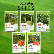 East West EASTWEST PATOLA - Primera PIPINO - Ambassador AMPALAYA -Bonito TOMATO - Diamante Max Jewel