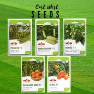 East West EASTWEST PATOLA - Primera PIPINO - Ambassador AMPALAYA -Bonito TOMATO - Diamante Max Jewel Vegetable Seeds