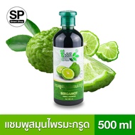 แชมพูสมุนไพรมะกรูด (ชีววิถี) BERGAMOT HERBAL SHAMPOO Net.500 มล.