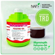 Botol 5 Liter MAMMOTH FOLIZYME-GA Napnutriscience Thailand Baja Foliar Subur Tanaman Bunga Buah Lekat Fertilizer Durian.