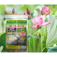 Giayxinhdangdep90 Fertilizer for lotus, water lily and ornamental plants