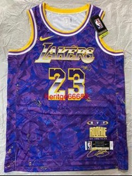 Nike NBA LA Lakers LeBron James MVP Select Series Jersey LBJ 23 Rookie Of The Year LAL not kobe brya