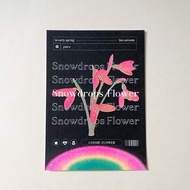 宇宙小花 snowdrops flower雪滴花款 孔版印刷 酷卡 明信片