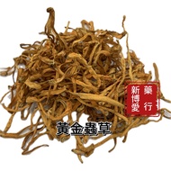 [Xinboai Pharmacy] Golden Cordyceps North Flowers Buy As Much Fresh Supply (37.5g) militaris