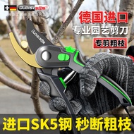 Gardening Shears Pruning Shears Flower Shears Garden Shears Flower Shears Branches Fruit Tree Shears